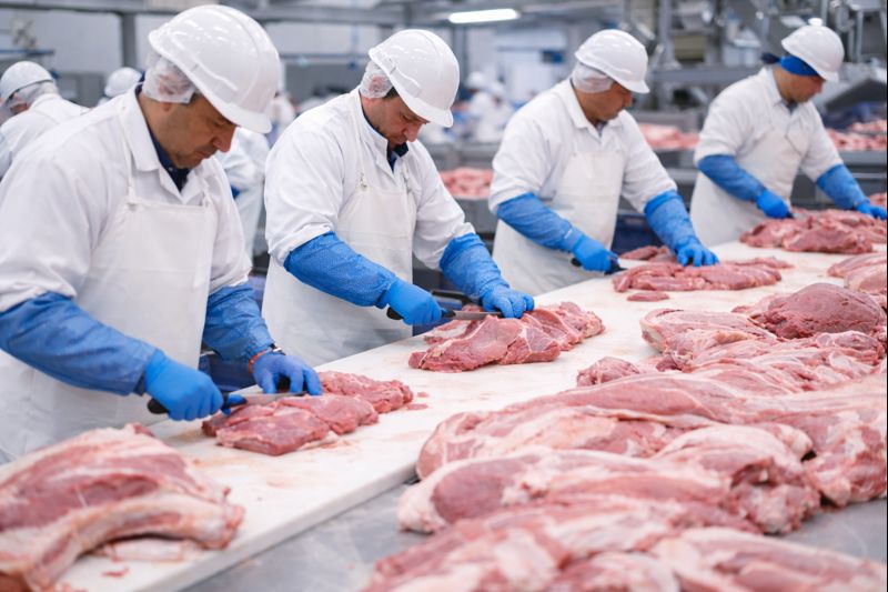 Meat Processing Plants